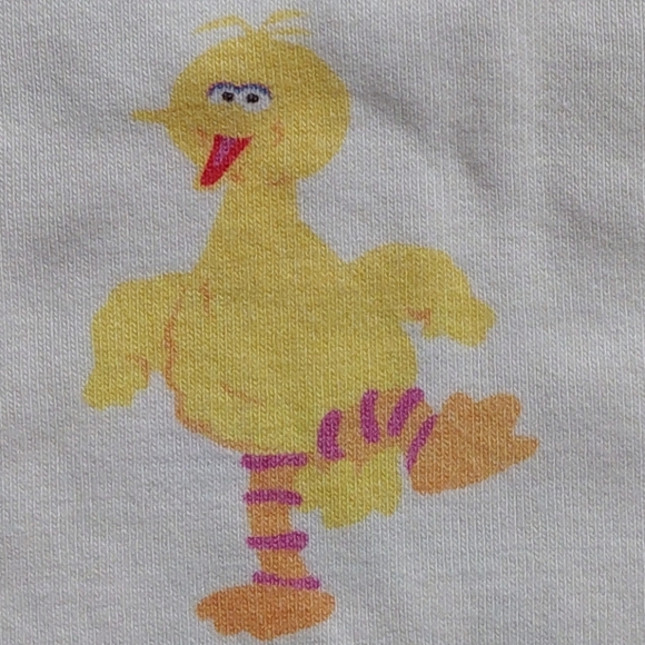 Hanna Andersson Sesame Street pjs 6-7 - Picture 13 of 16